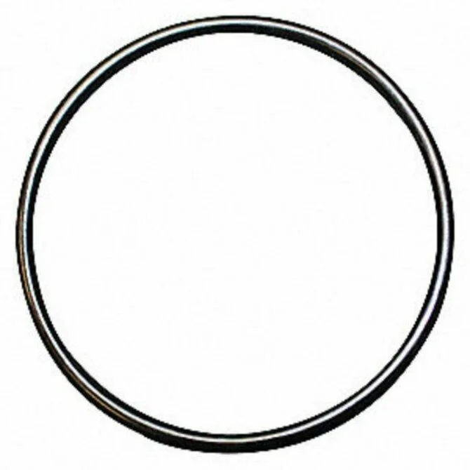 Pacer - Housing O-Ring