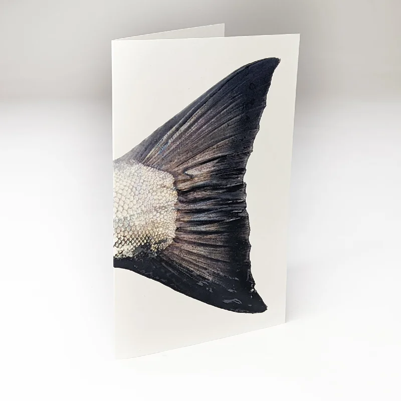 Fish Tail Card