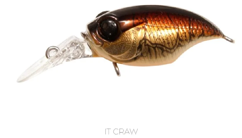 IT Craw