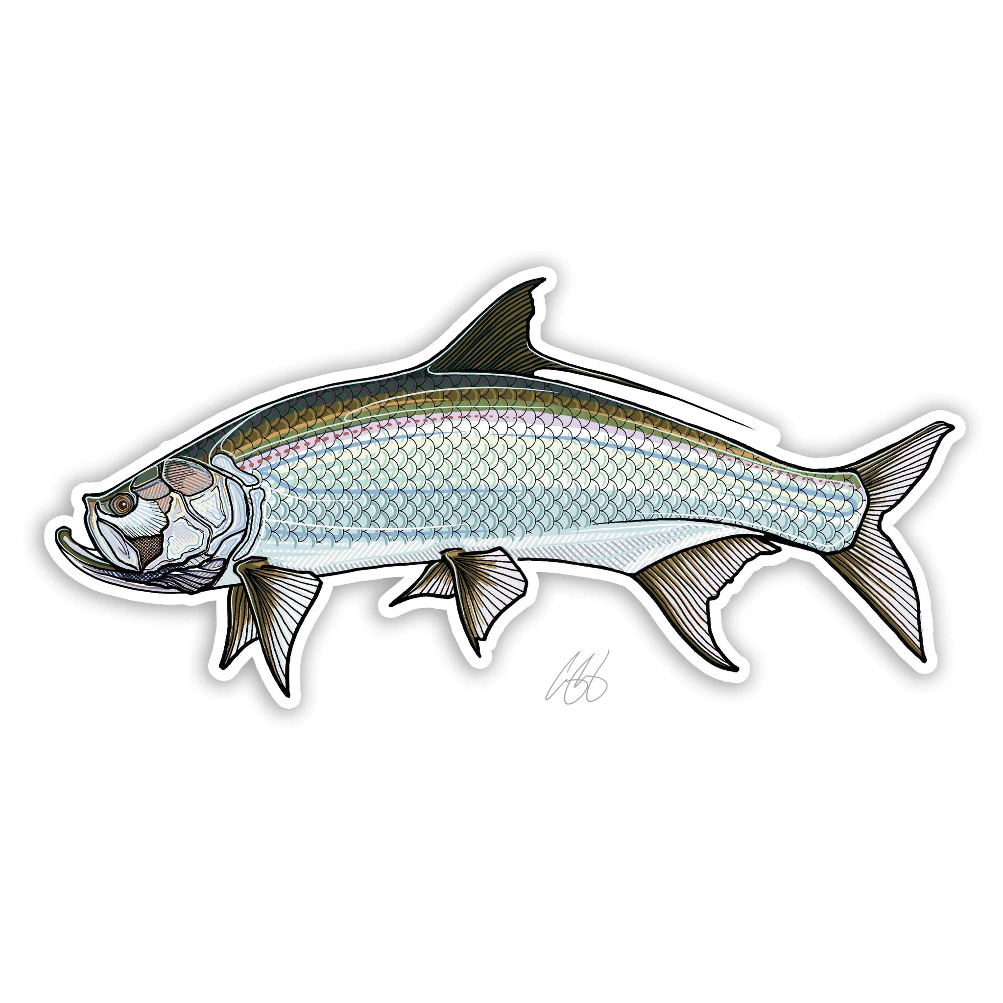 Underwood Tarpon Sticker