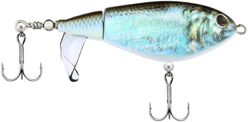 HD Blueback Herring