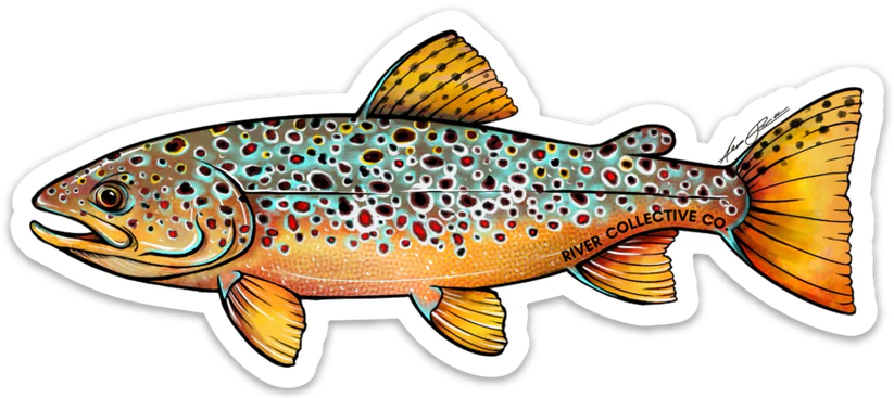 River Collective Fish Sticker