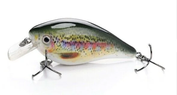 Rainbow Trout